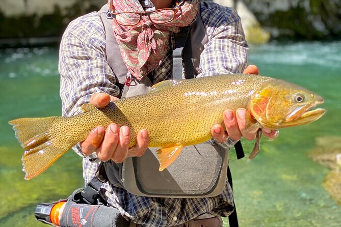 Private Half-day Fly Fishing - Highlights of the Private Half-day Fly Fishing Experience