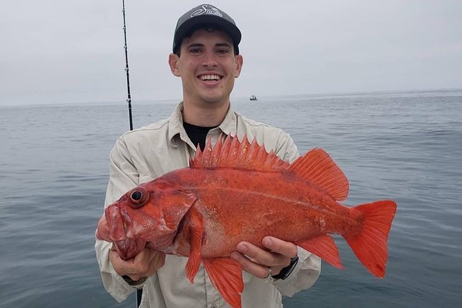 Private Half-Day San Diego Fishing Trip for up to 4 People - Highlights