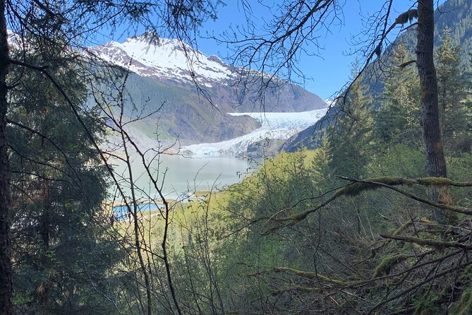 Rainforest & waterfalls trek what to expect: a deep dive into the journey