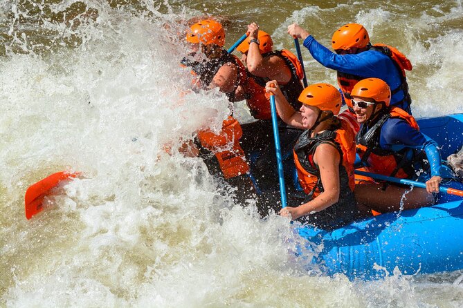 Royal Gorge Half Day Rafting in Cañon City (Free Wetsuit Use) - Highlights