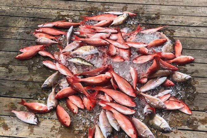 Shared Deep Sea Fishing Trip from Destin - What to Expect on Your Deep Sea Fishing Trip