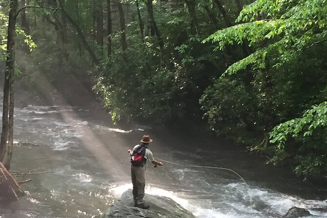 Smoky Mountains National Park Half Day Fly Fishing - Highlights of the Smoky Mountain Fly Fishing Experience