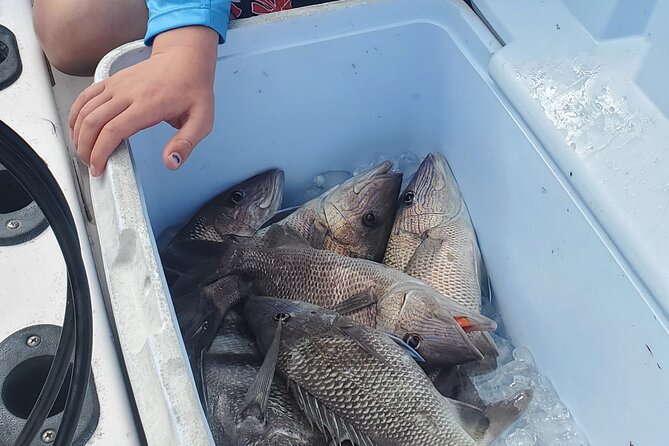 Sonnys Boat Tours Half Day Off Shore Fishing Charter Englewood Fl - Starting Point and Journey to the Gulf