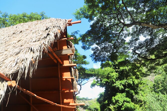 Swim at Oahu Waterfall in Waimea with Coffee, Lunch and Dole - Highlights