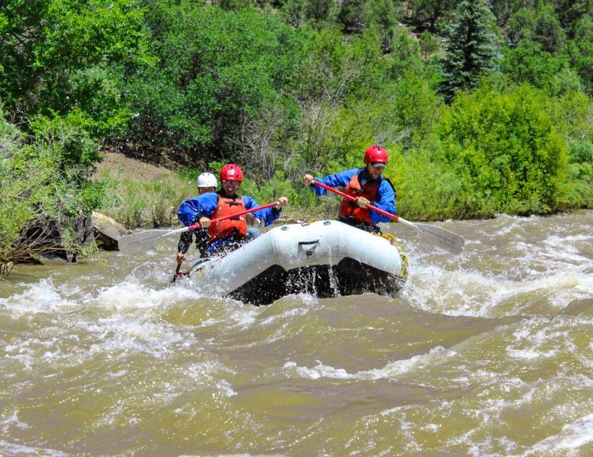 Telluride Afternoon Half Day Rafting Trip - San Miguel River - Highlights of the Telluride Afternoon Rafting Experience