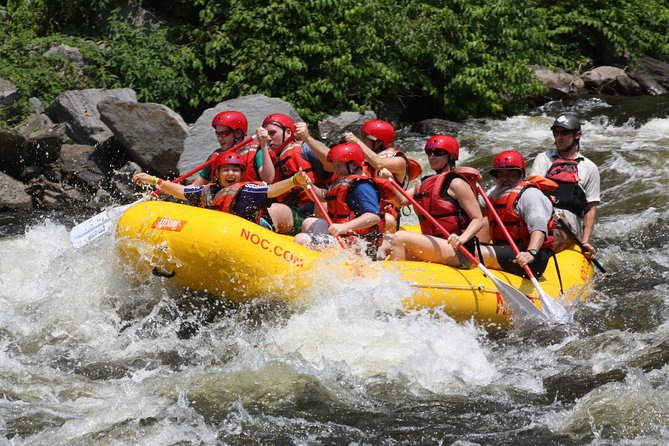 Upper Pigeon River Whitewater Rafting - Highlights of the Upper Pigeon River Whitewater Rafting Tour