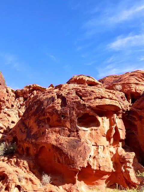 Valley of fire tour & hike an in depth look at the tour experience