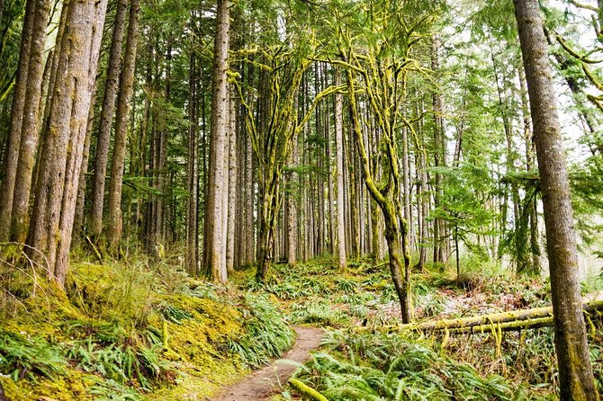 Waterfall wonderland hike with transport the waterfalls: highlights at every turn