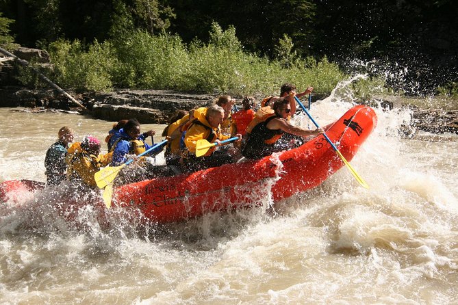Whitewater Rafting Jackson Hole Family Friendly Classic Raft - Highlights