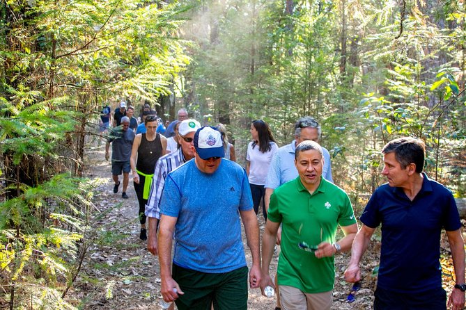 Wine & wellness tour in napa valley an in depth look at the itinerary