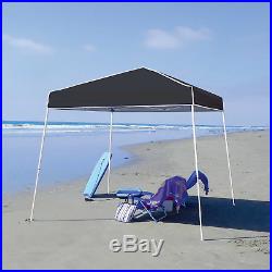 Z-Shade 10' x 10' Angled Leg Instant Black Canopy Shelter with Screen & Weights